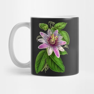 Passion Flower - Passion Vine botanical illustration Mug